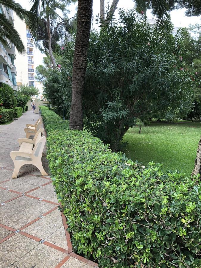 Apartamento Parque 2 Playa De Gandia Экстерьер фото