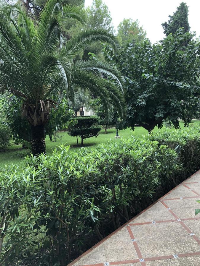 Apartamento Parque 2 Playa De Gandia Экстерьер фото